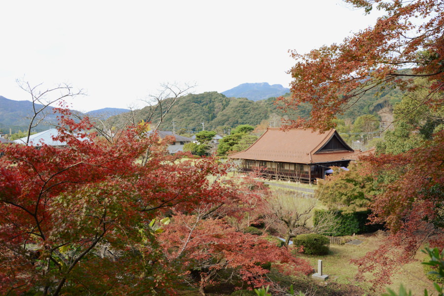 紅葉に包まれる「寒鶯亭」 紅葉に包まれる「寒鶯亭」