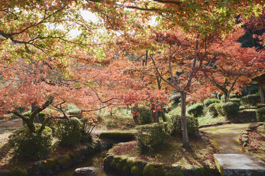 園内では180本のモミジが色づく「西渓公園」
