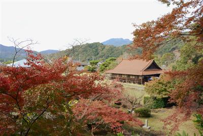 紅葉に包まれる「寒鶯亭」