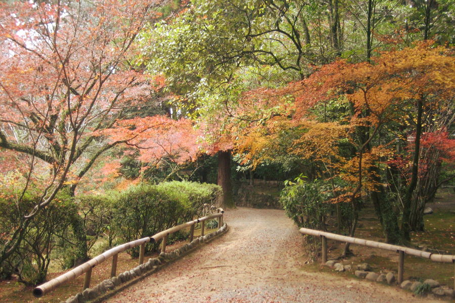 地元の人たちの憩いの場となっている泰勝寺跡