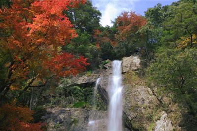 紅葉の深紅と滝の白のコントラストが楽しめる「せんだん轟の滝」