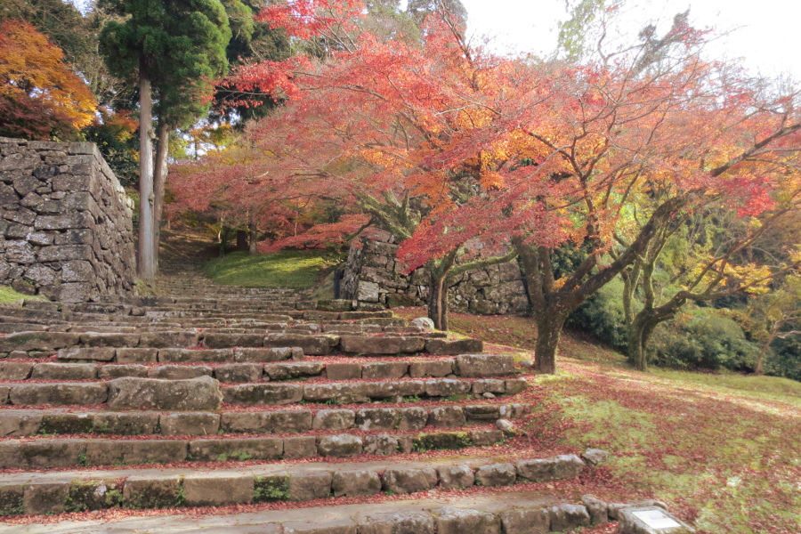 球磨川上からも、人吉の秋の風物詩「人吉城跡（球磨川沿岸）」