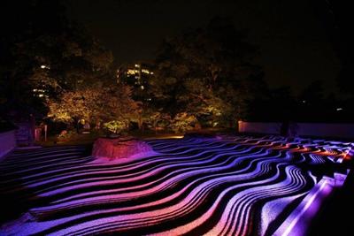 来場者の注目を集める承天寺の庭園
