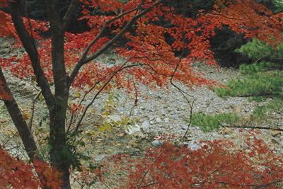 見立渓谷の日之影川は、浸食による奇岩などで知られる清流