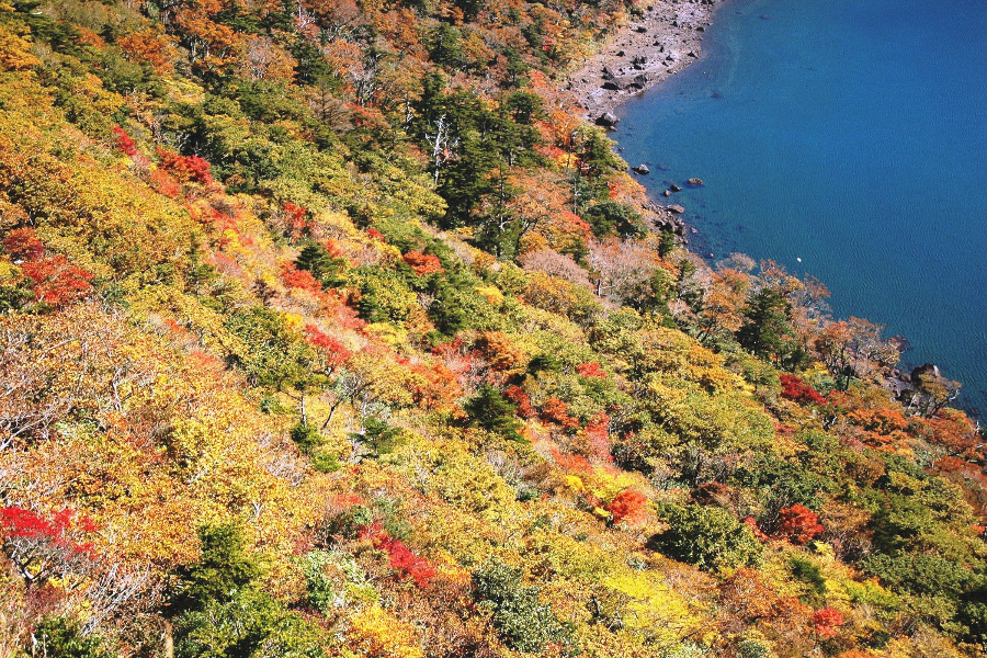 県道1号線沿いでもおすすめの紅葉スポット「大浪池」 県道1号線沿いでもおすすめの紅葉スポット「大浪池」