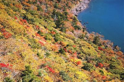県道1号線沿いでもおすすめの紅葉スポット「大浪池」