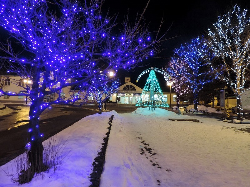 点灯時間は、毎日16時30分~24時までの予定 いらっしゃいしんとくイルミネーション