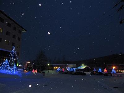 冬の白金雪あかり