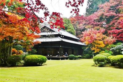 色彩豊かな紅葉が映える「麻生大浦荘紅葉特別公開」
