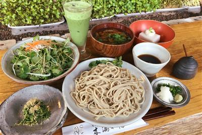 「木漏れ陽コース 檜」の全品