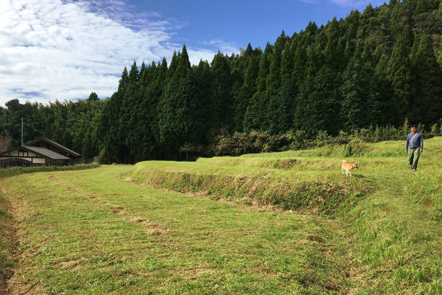 店の裏には休作中の棚田を活用したドッグランもある 店の裏には休作中の棚田を活用したドッグランもある