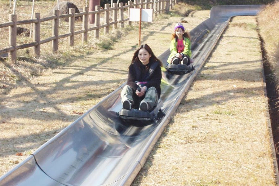 眺望が良い遊園地、「山茶花高原ピクニックパーク」 眺望が良い遊園地、「山茶花高原ピクニックパーク」