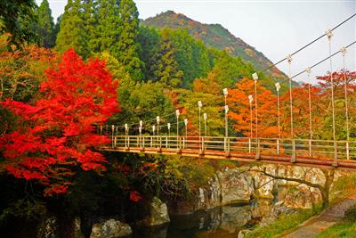 白い岩肌との対比が美しい紅葉