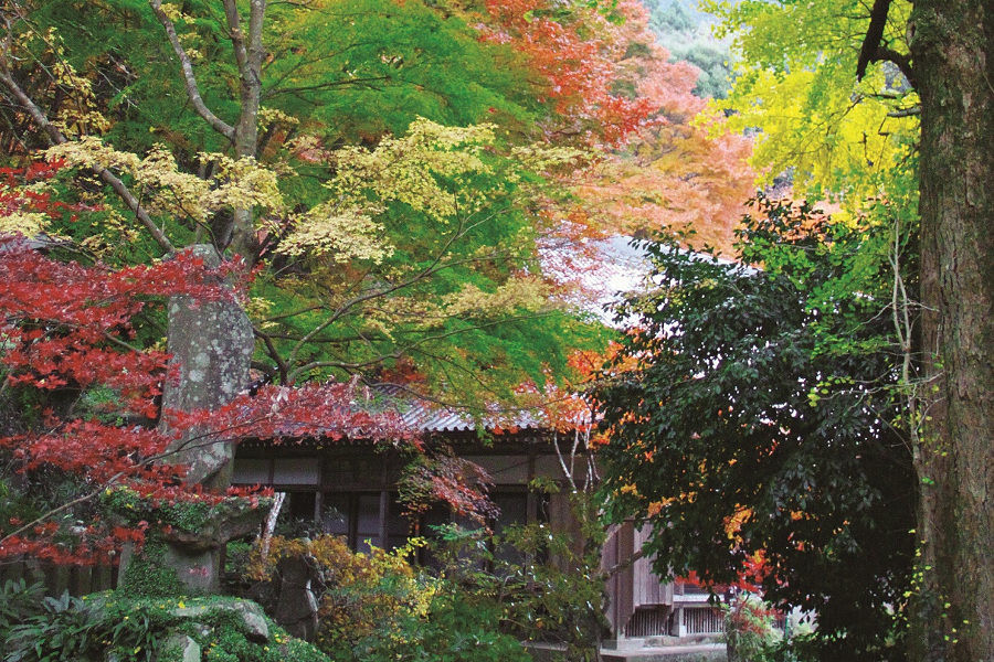 長安寺 花の寺 たびらい 長安寺 花の寺 たびらい