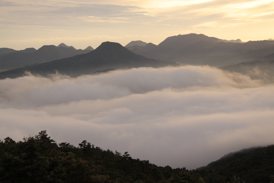 雲海が見渡せる「高山寺」 雲海が見渡せる「高山寺」