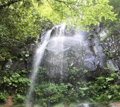 夏は涼、冬は氷の芸術が見られる「修験の滝」