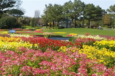 四季折々の花と緑が楽しめる「フローランテ宮崎」