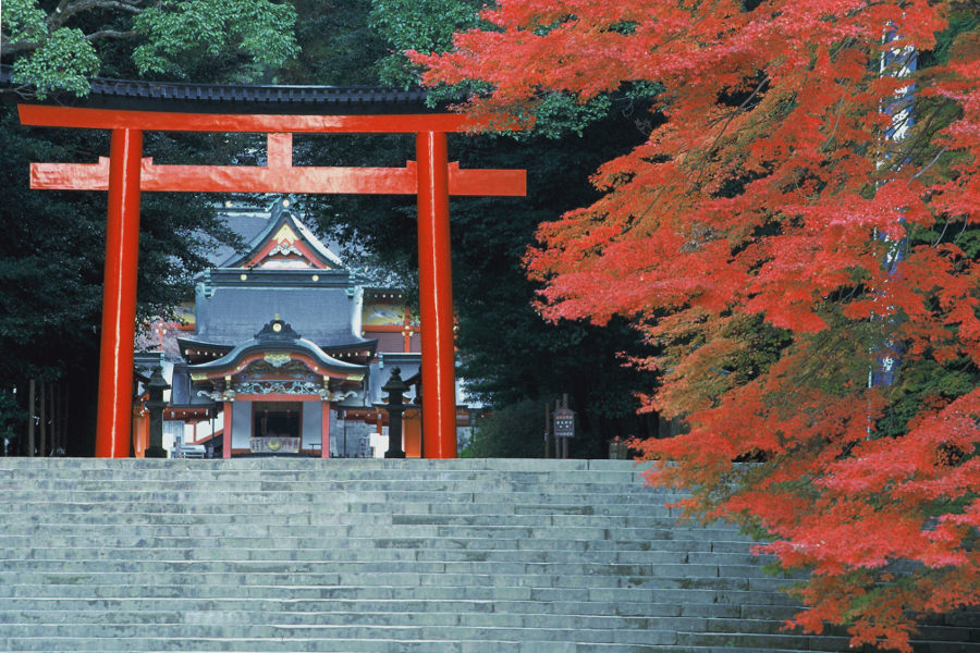 鳥居と紅葉の組み合わせは、霧島神宮の秋の風物詩だ 鳥居と紅葉の組み合わせは、霧島神宮の秋の風物詩だ