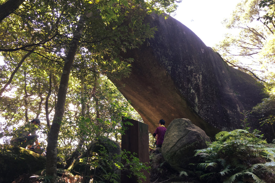特に迫力のある16基目の「蛙石」までは、入り口から1時間30分ほど 巨石パークの「蛙石」
