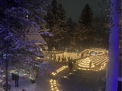 雪灯路