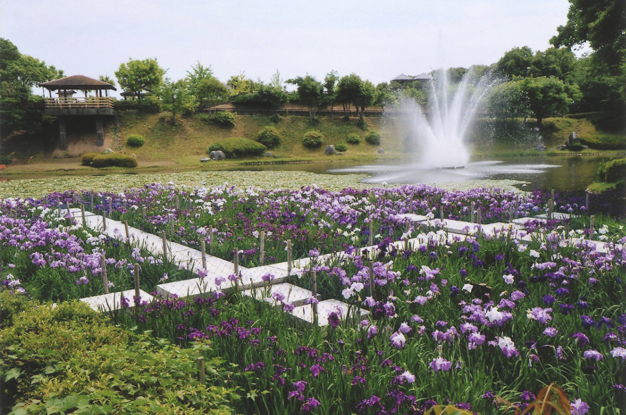 しょうぶなどの季節ごとの花が鑑賞できる「遠見山公園」 「遠見山公園」