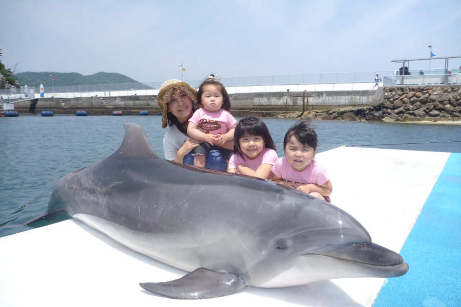 迫力のイルカショーが見られる、うみたま体験パーク「つくみイルカ島」 迫力のイルカショーが見られる、うみたま体験パーク「つくみイル
