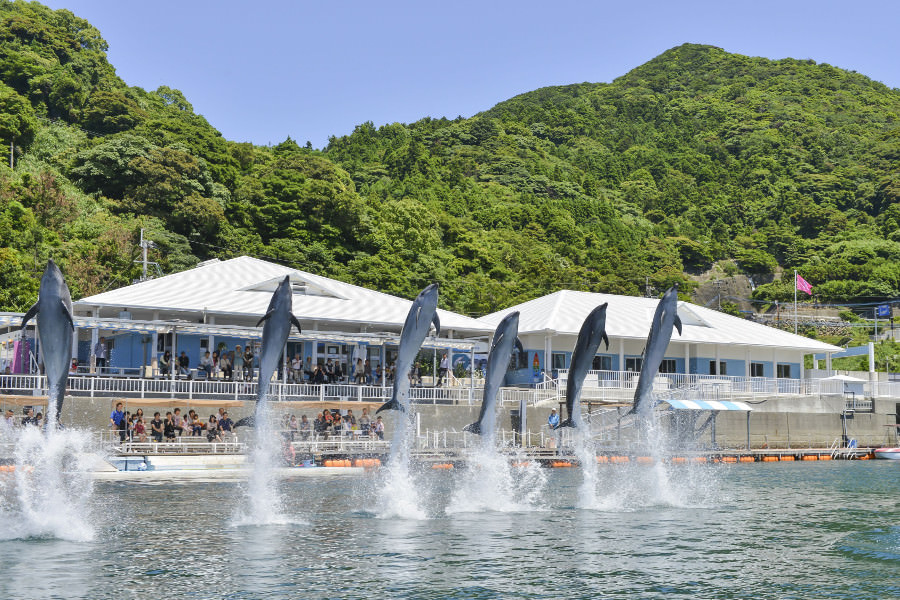 海を舞台に迫力ある、ジャンプ！