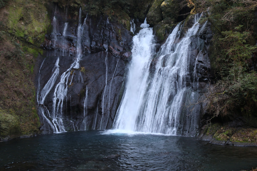 大野川の源流になっており、高さは約38メートル 大野川の源流になっており、高さは約38メートル