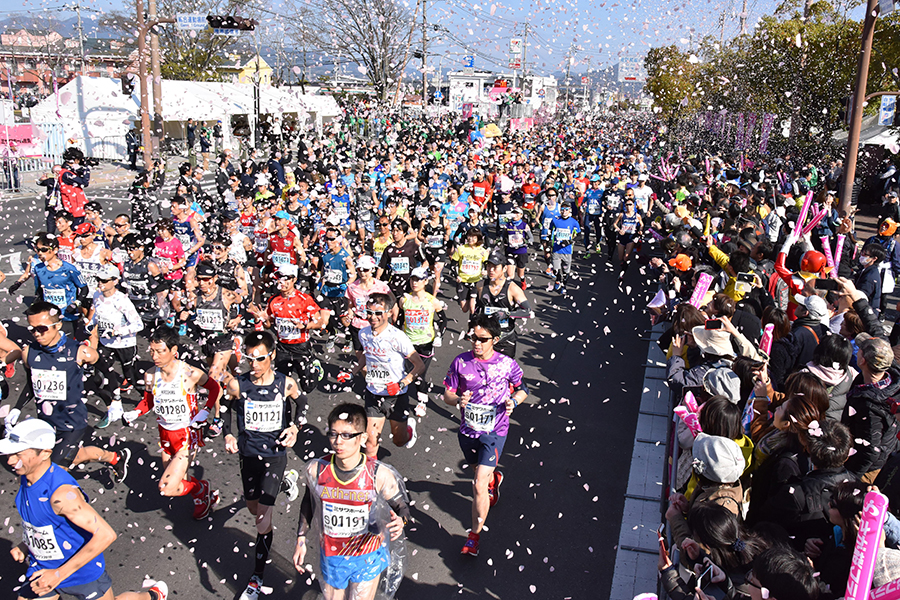 約1万人のランナーが参加する「さが桜マラソン」(画像提供/さが桜マラソン大会事務局) 「さが桜マラソン」のランナーたち