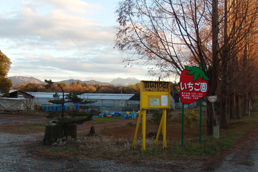 山下農園 ムノーディ