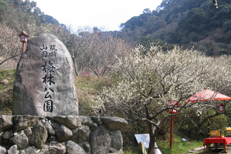 福岡県嘉麻市「梅林公園」 福岡県嘉麻市「梅林公園」