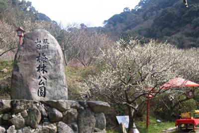 福岡県嘉麻市「梅林公園」