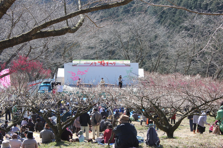 メイン催事ではステージで郷土芸能を楽しめます