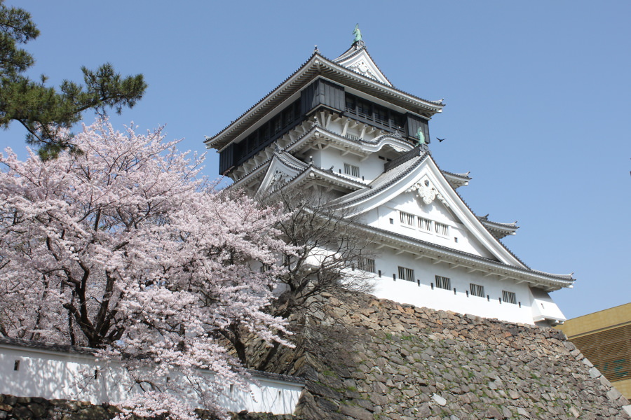 約200本の桜が咲き誇る勝山公園 約200本の桜が咲き誇る勝山公園