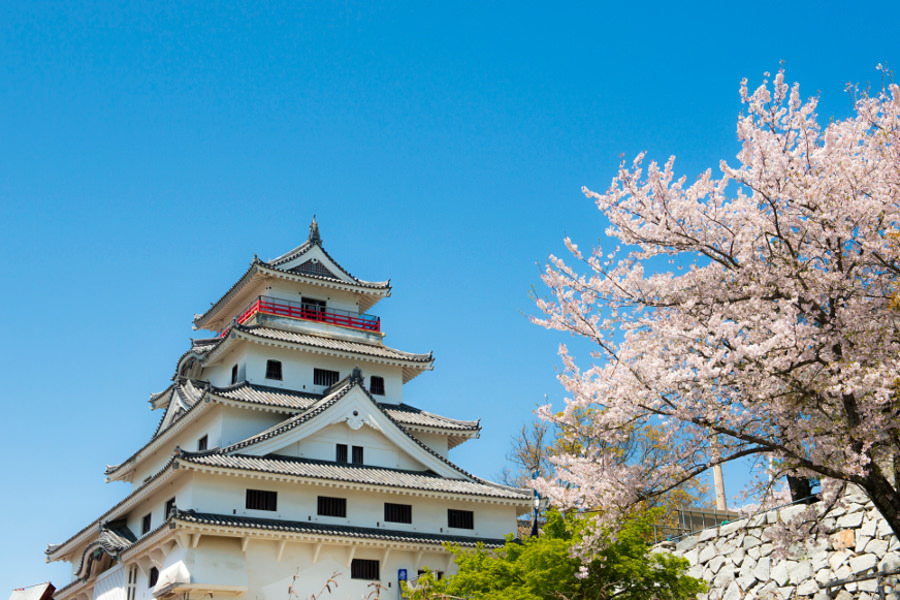 桜のピンクと海の青が唐津城の天守閣に映える 花の名所でもある唐津城