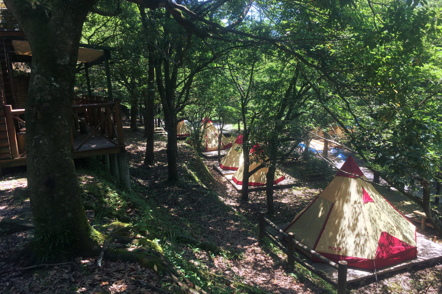 自然豊かな岩屋公園キャンプ場。“インディアンテント”とも呼ばれる円錐形のティピーテントが並ぶ 岩屋公園キャンプ場のティピーテント