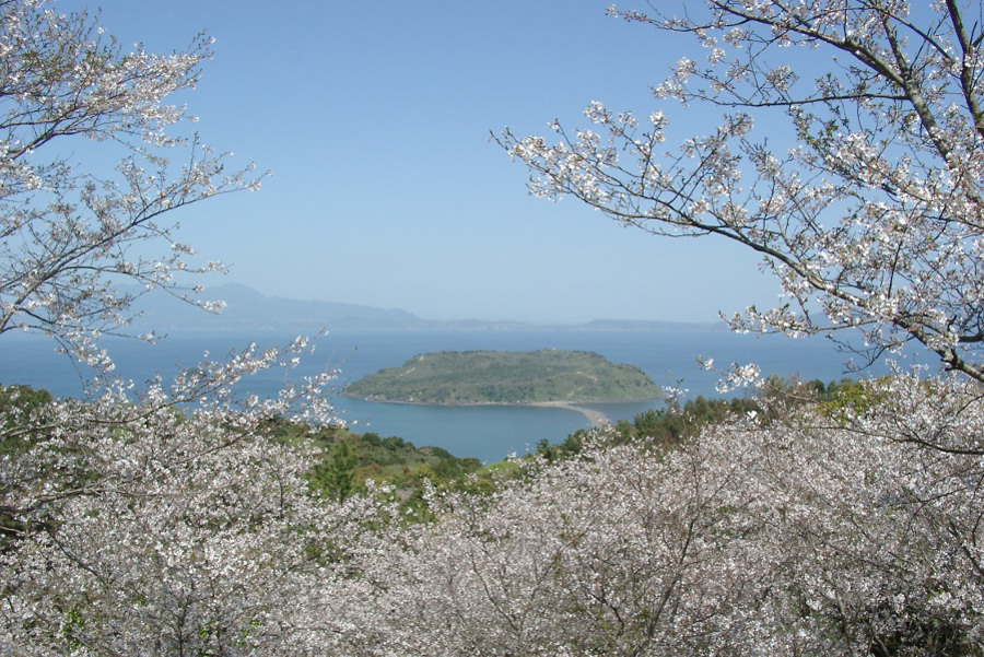 四季折々の花々が美しい魚見岳 四季折々の花々が美しい魚見岳