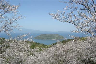 四季折々の花々が美しい魚見岳