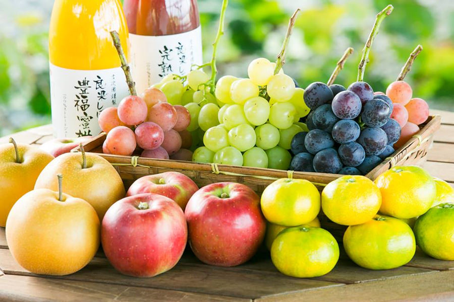 季節に応じた旬のフルーツ狩り 季節に応じた旬のフルーツ狩り