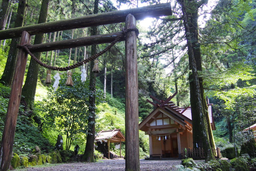 鎮守の森に囲まれた秋元神社