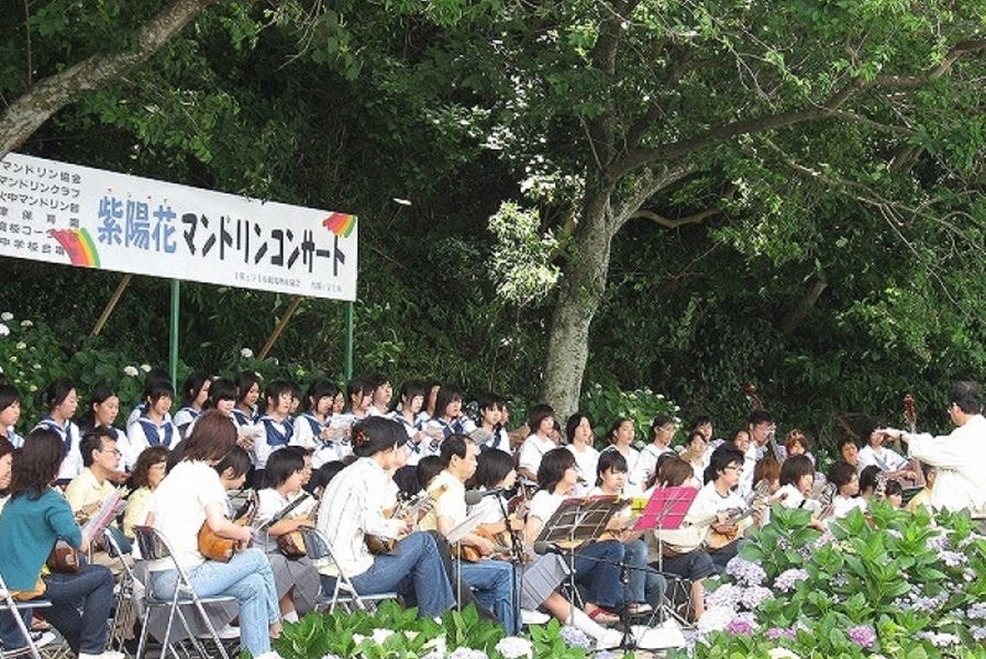 花と音色を楽しめる恒例イベント「紫陽花マンドリンコンサート」
