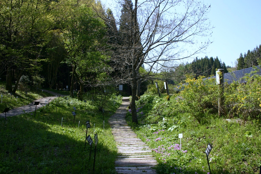 「くじゅう野の花の郷」敷地内にある散策コース 「くじゅう野の花の郷」敷地内にある散策コース