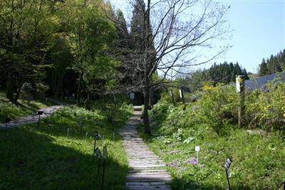 「くじゅう野の花の郷」敷地内にある散策コース