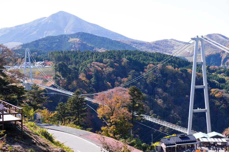 50階のビルより高い、迫力の眺め