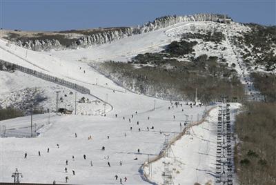 広いゲレンデでは自分のレベルに合わせてコースが選べます
