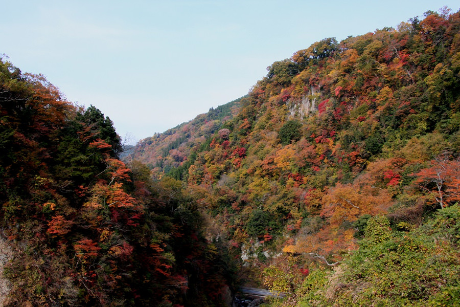 毎年10月下旬~11月中旬が紅葉の見頃
