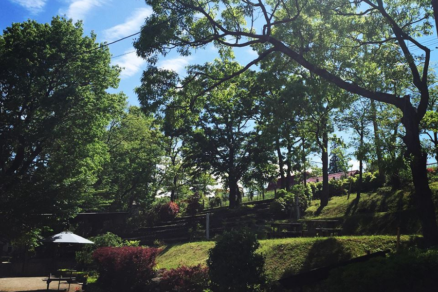 広大な敷地をのんびりと歩きながら美術鑑賞を楽しめます 広大な敷地をのんびりと歩きながら美術鑑賞を楽しめます