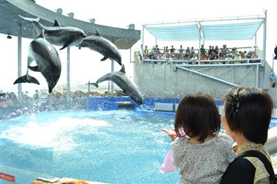 たくさんの海の生き物に出会って触れ合える「うみたまご」
