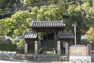 寺院の正面にある大きくそびえたつクスノキ