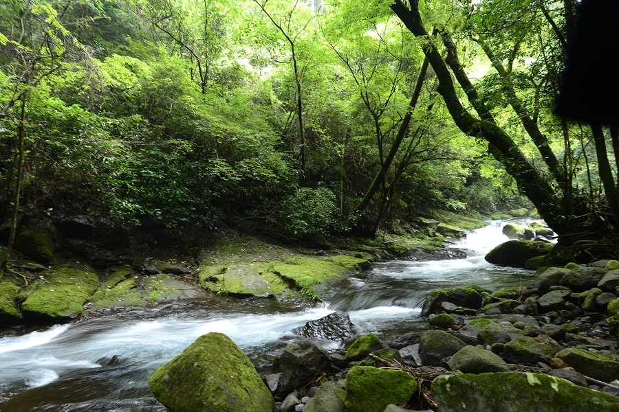 ひっそり佇む隠れ家的な水源です